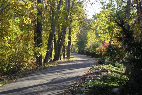 Greenbelt trail by the Boise River in Garden City. | Boise river, Beautiful places on earth ...