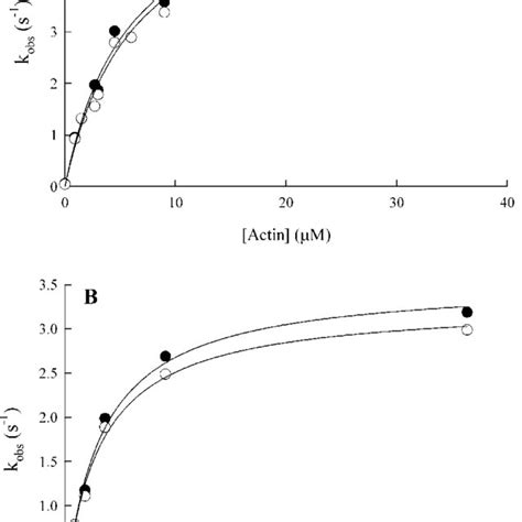 Actin-activated ATPase activity of myosin VI with or without... | Download Scientific Diagram