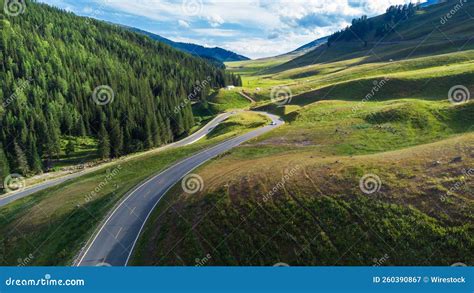 Aerial View of Zigzag Road Built on a Mountain, Past the Forest Stock ...