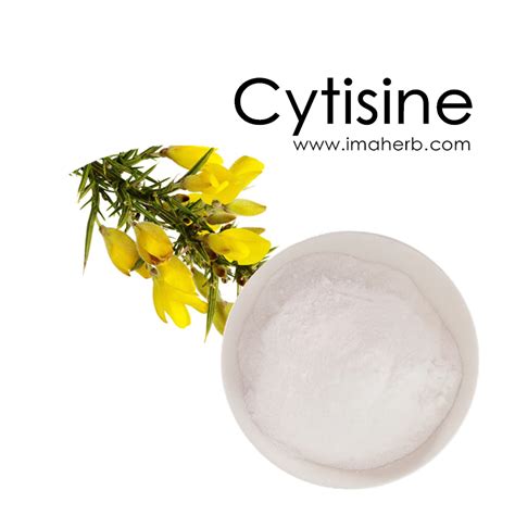 Cytisine, Cytisine Powder, Thermopsis Lanceolata Extract, Sparteine ...