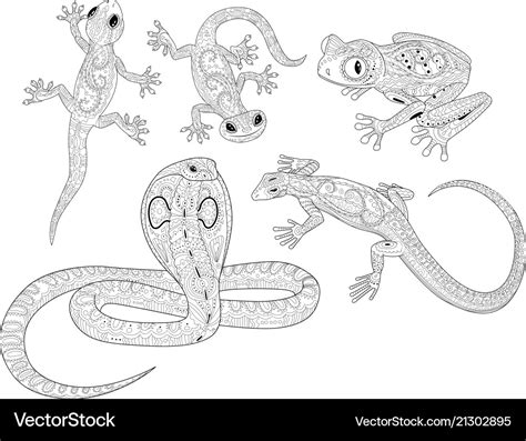 Coloring Pages Of Amphibians And Reptiles