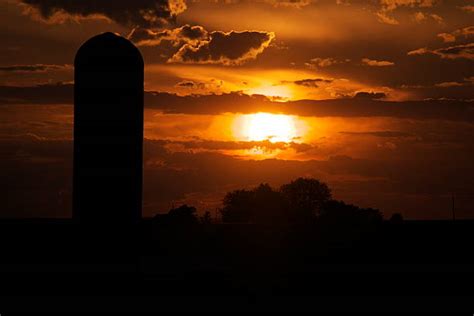 70+ Iowa Cornfield Sunset Stock Photos, Pictures & Royalty-Free Images ...