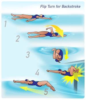 How to Do a Backstroke Flip Turn | iSport.com | Competitive swimming, Backstroke, Swimming diving