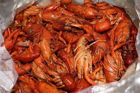 CRAWDAD HOLE - 112 Photos & 81 Reviews - 1150 Lakeland Dr, Jackson, Mississippi - Cajun/Creole ...