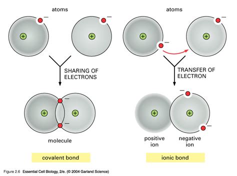 What is the difference between covalent and ionic bonding? | Socratic