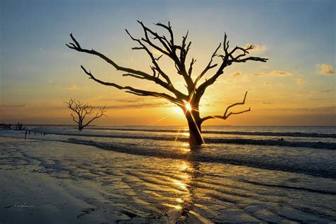 Botany Bay Sunrise Photograph by Karen Migliaccio - Fine Art America