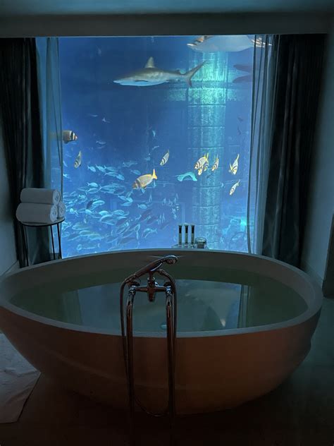 Atlantis Suite: An Underwater Experience