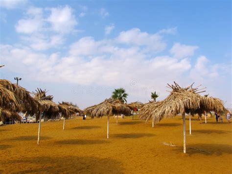 Beach on the Dead Sea stock photo. Image of east, israel - 12468326