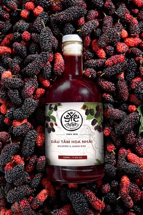 Rượu dâu tằm hoa nhài – Shop Rượu trái cây - Đại lý cấp 1 của Mầm Distillery