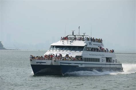 New England Aquarium Whale Watch | New england aquarium, Whale watching ...