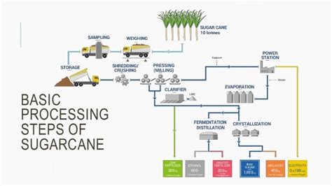 Sugarcane Processing Technologies by Akram Hossain