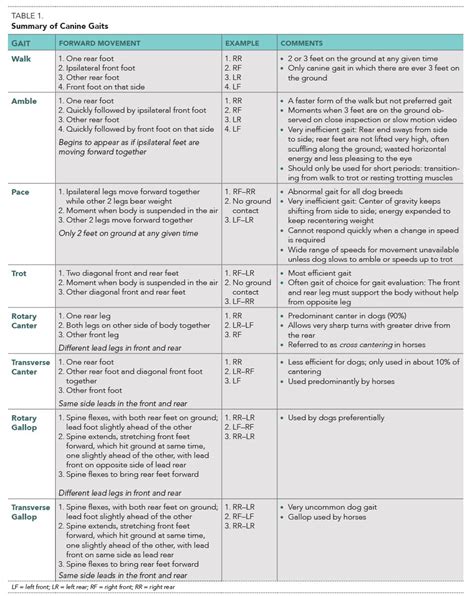 Canine Gait Analysis - Today's Veterinary Practice