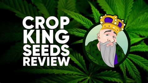 Read This Crop King Seeds Review Before You Buy | Tacoma News Tribune