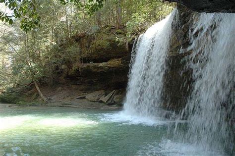 The Forrest Waterfall, a photo from Alabama, South | TrekEarth | Waterfall, Summer travel, Dream ...