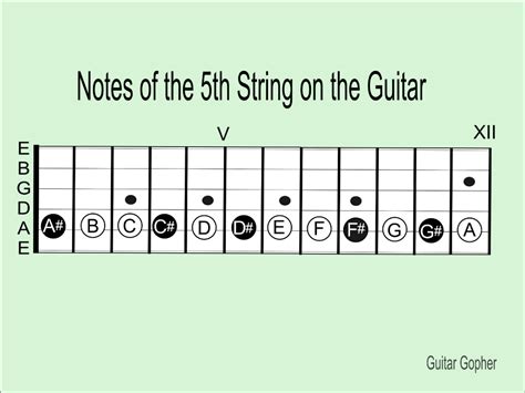 How to Learn the Notes of the Guitar Fretboard the Easy Way - Spinditty