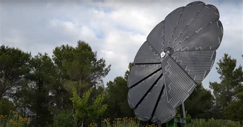 self-cleaning sunflower solar panels generate up to 40% more power