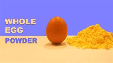 Whole Egg Powder, होल एग पाउडर in Vasna , Ahmedabad , Parth Agro | ID: 9016419862