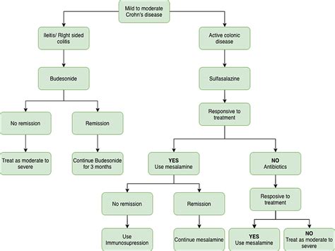 Medical Management of Crohn's Disease | Cureus