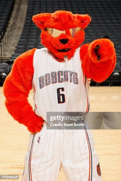 Rufus Charlotte Bobcats Mascot Photos and Premium High Res Pictures - Getty Images