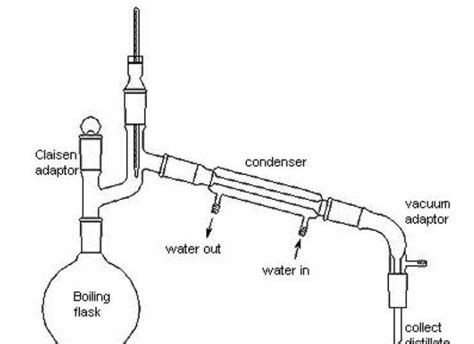 Ethanol Fermentation Equation