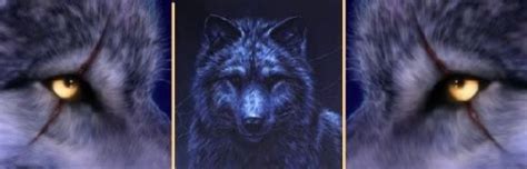 Wolf Banner - Wolves Photo (25224768) - Fanpop