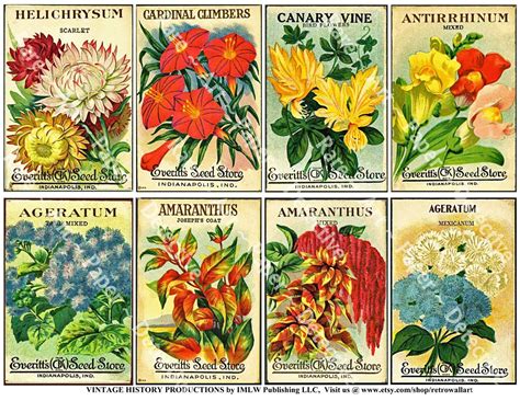 Antique Flower Seed Packets, Printed Sheet, Vintage Seed Packs, Garden ...