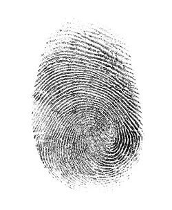 Fingerprint