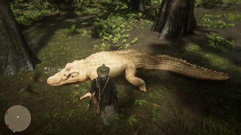 Red Dead Redemption 2 Legendary Alligator Location / Fundort Legendärer ...