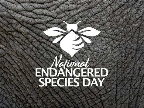 National Endangered Species Day on Behance