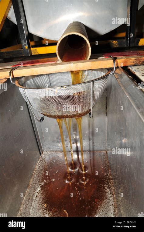 Beehive - honey extraction Stock Photo - Alamy