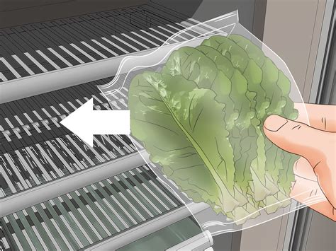 How to Harvest Romaine Lettuce: 11 Steps (with Pictures) - wikiHow