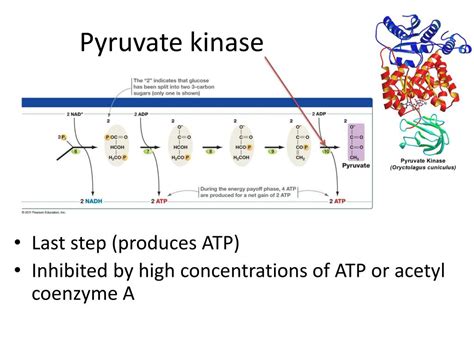 PPT - LB145 Sec 001-004 PowerPoint Presentation, free download - ID:2266028