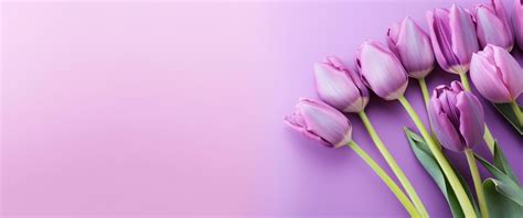 AI generated beautiful purple tulips on a purple background, 35347516 ...