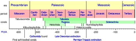 Fossil Record Timeline