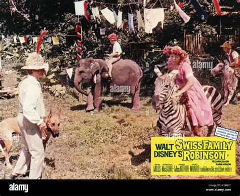 Swiss family robinson 1960 hi-res stock photography and images - Alamy