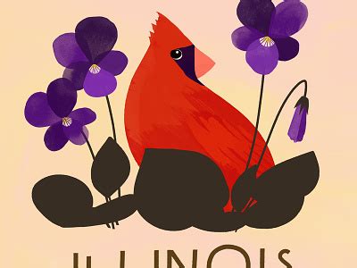 Illinois State Bird and Flower by Sarah Ferone on Dribbble