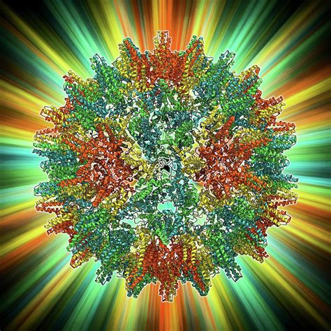 Hepatitis B Virus Capsid Photograph by Laguna Design - Pixels