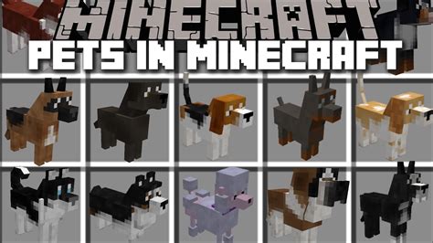 Minecraft dog mod - proxyhow