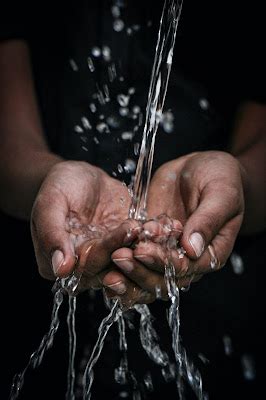 Kitchen and Residential Design: What to Know About Water Conditioner ...