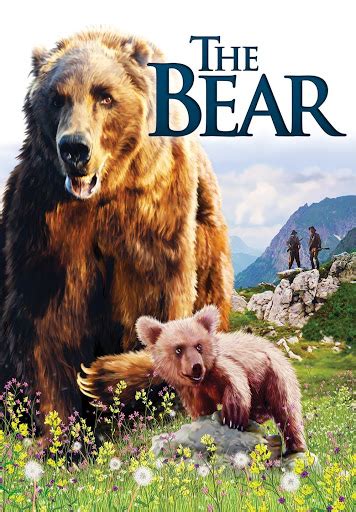 The Bear - Movies on Google Play