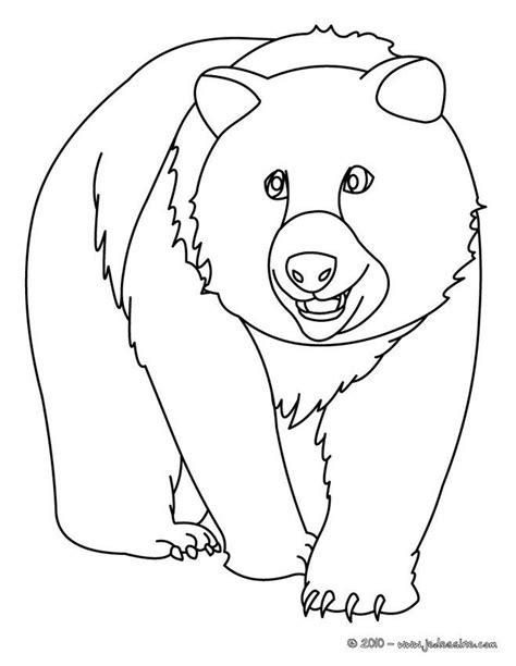 Coloriage d´un bel ours brun réaliste. À imprimer gratuitement ou ...