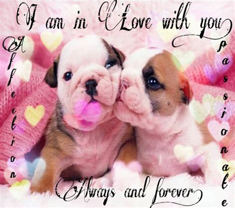 Puppy Love Wallpapers - Wallpaper Cave