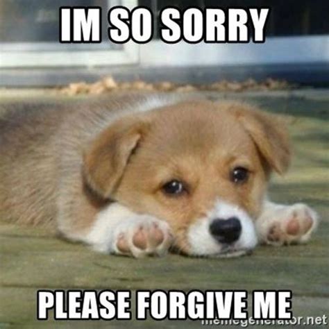 40 Adorable I’m Sorry Memes People Won’t Be Able To Resist | Puppy meme, Sorry memes, I miss you ...