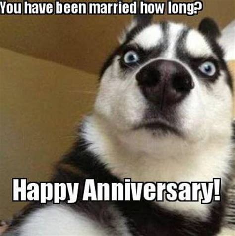 25 Memorable and Funny Anniversary Memes - SayingImages.com | Happy anniversary funny, Funny ...