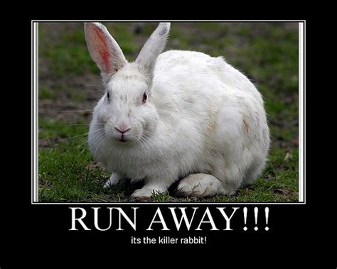 Altaclysmic: The Killer Rabbit of Caerbannog