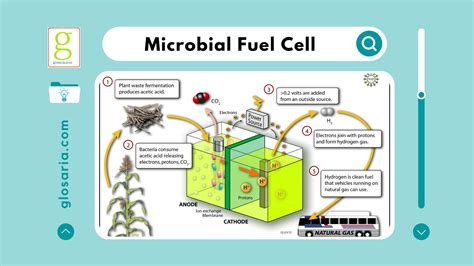 Microbial Fuel Cell: Pengertian, Prinsip Kerja Serta Potensi Pemanfaatan MFC sebagai Sumber ...