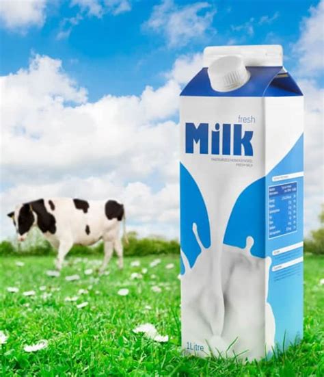 The Milk Mustache: Guide to Cow's Milk and The Substitute Milk Options