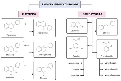 Antioxidants | Free Full-Text | Antioxidant, Anti-Inflammatory and Cytotoxic Activity of ...