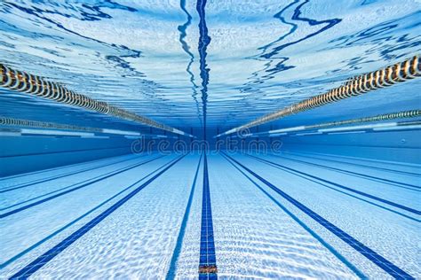 Top View of a Olympic-size Swimming Pool Stock Photo - Image of swim, training: 139182806