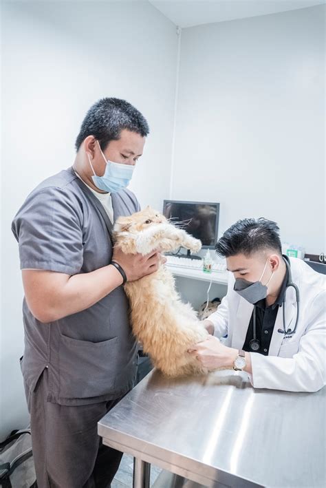 Get to Know Our Vets – The Cat Clinic